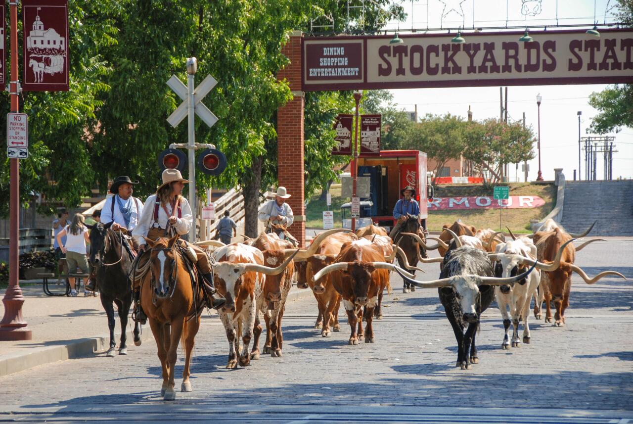 #31. Fort Worth, Texas Historic Fort Worth Stockyards and Texas longhorn cattle.