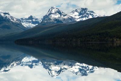 Where no fish has gone before: Can the ESA remake habitats for struggling species?
